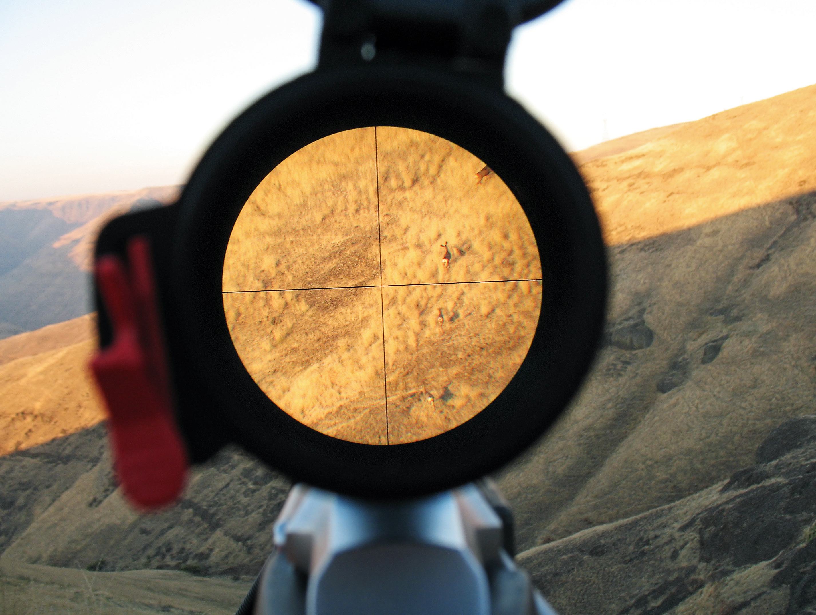2 Best Scopes for .17 HMR Rifles