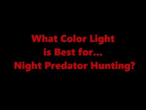 Predator Hunting @ Night: What Color Light is Best (Red - Green - White)?