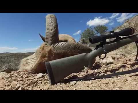 Leupold VX-6 Riflescope--Video Review