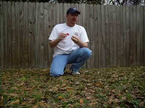 Hunt Quest-Scott Ellis-How to turkey call- yelping with the clean front note