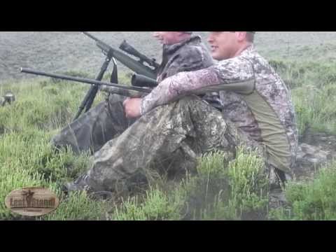 Coyote Calling Idaho with Primos Alpha Dogg &amp; Mojo Critter