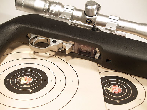 best scope for ruger 10 22, ruger 10 22 scope suggestions, ruger 10 22 scope recommendation