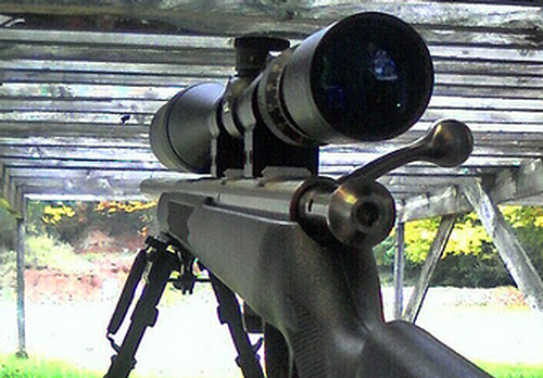 best scope for 17 hmr savage