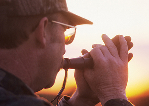 best turkey mouth calls