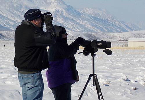 spotting scope vs binoculars, binoculars vs spotting scope, spotting scope or binoculars
