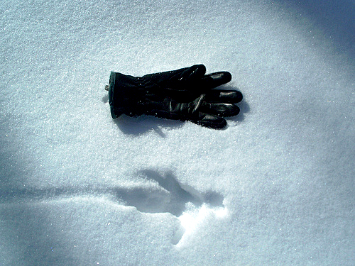 best thin winter gloves