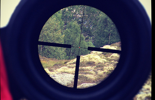 450 bushmaster scope