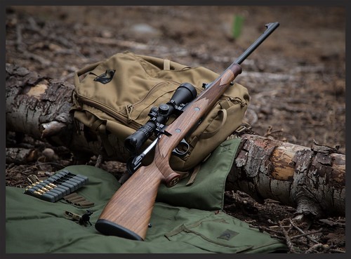 nightforce nxs vs vortex pst